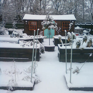 City Veg Garden