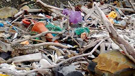 beach_litter.jpg