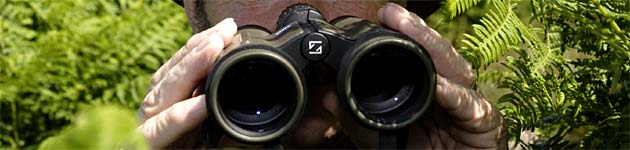 Binoculars
